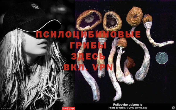 прущая мука Киренск